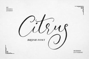 Citrus Handwritten Font for Elegant Campaign Design
