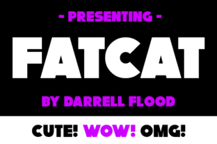 FatCat: A Bold Sans Serif Typeface for High-Impact Branding