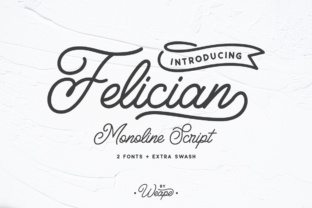 Felician: The Modern Script Handwritten Font for Polished Branding