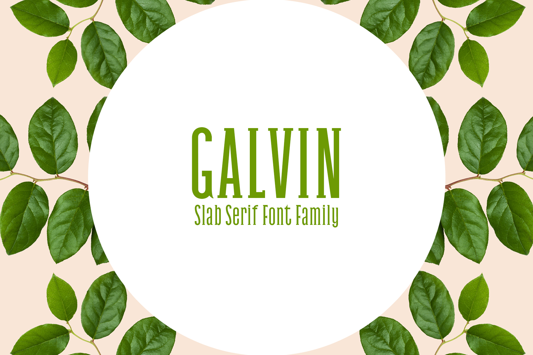 Galvin Family Pack: A Modern Slab Serif for Digital Design