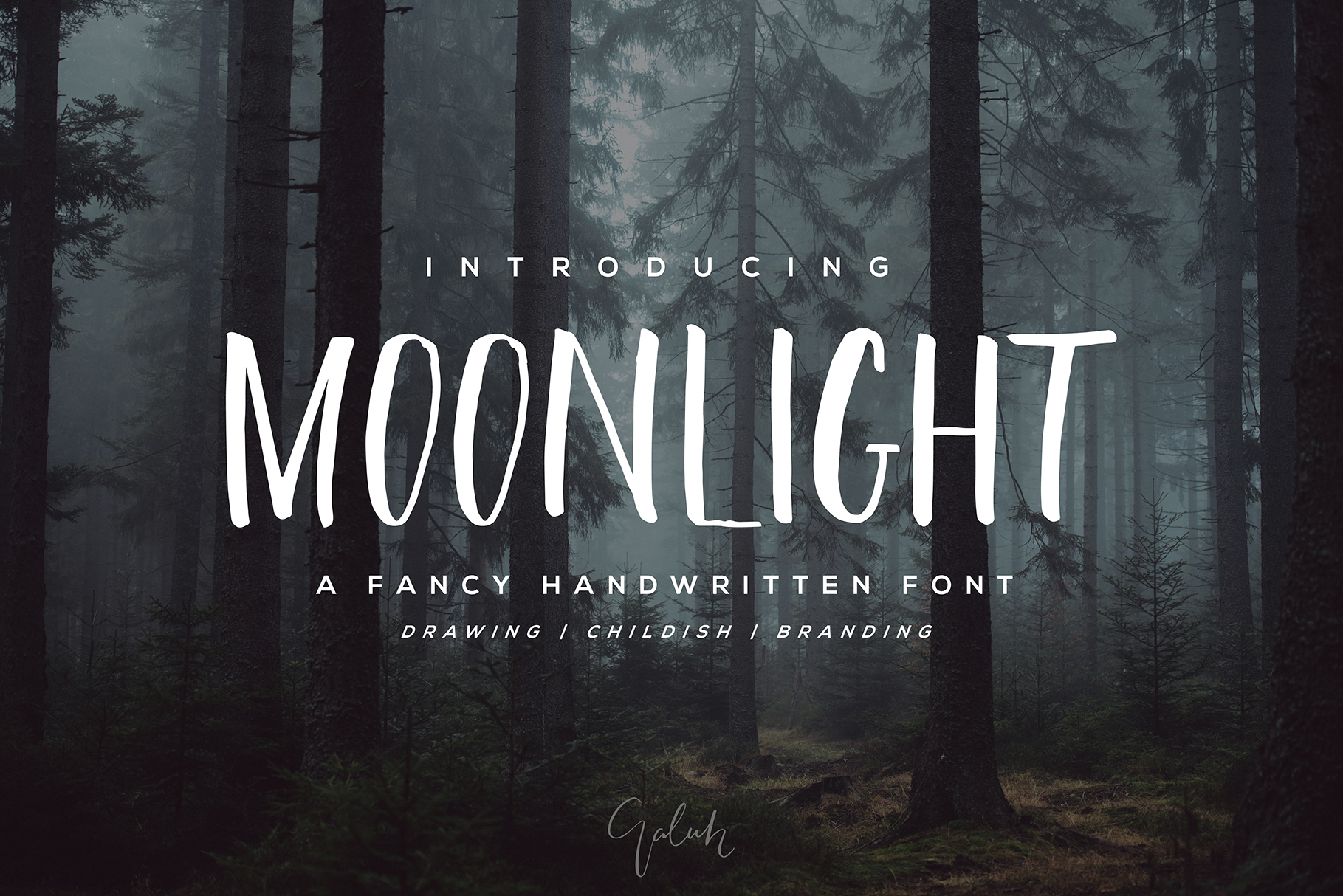 Moonlight Typeface: A Modern Script Handwritten Font for Editorial Design