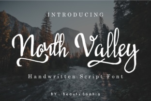North Valley Brush Script Font Review for Campaign Design