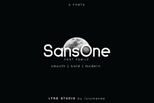Sans One Typeface Review for Modern Branding