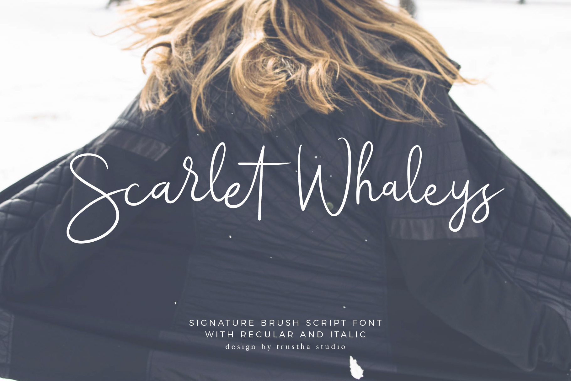 Scarlet Whaleys: A Signature Brush Script Font for Modern Web Design