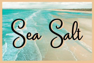 Sea Salt: A Nostalgic Script Font for Modern Brand Identity