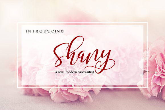 Shany Typeface: A Modern Handwritten Font for Relaxed Branding