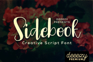 Sidebook Script: The Funny Handwritten Typeface for Scroll-Stopping Campaigns